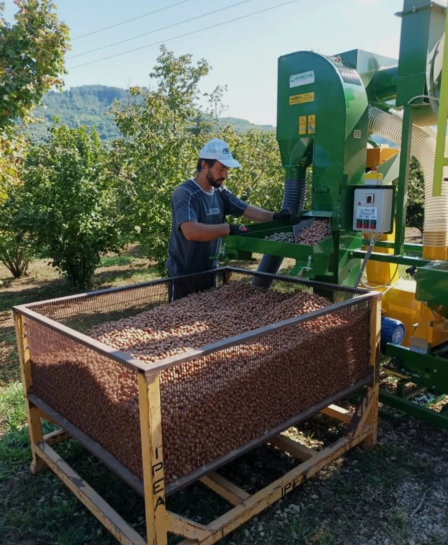 Crema di Mandorle